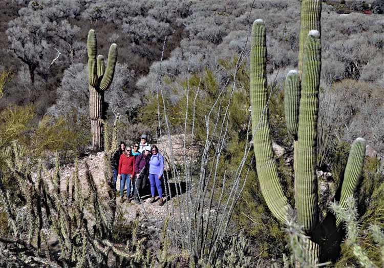 hikers